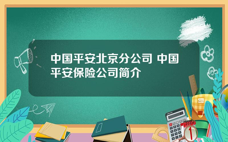 中国平安北京分公司 中国平安保险公司简介